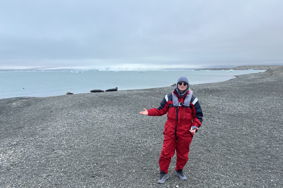 On an Arctic beach, seals and a glacier behind